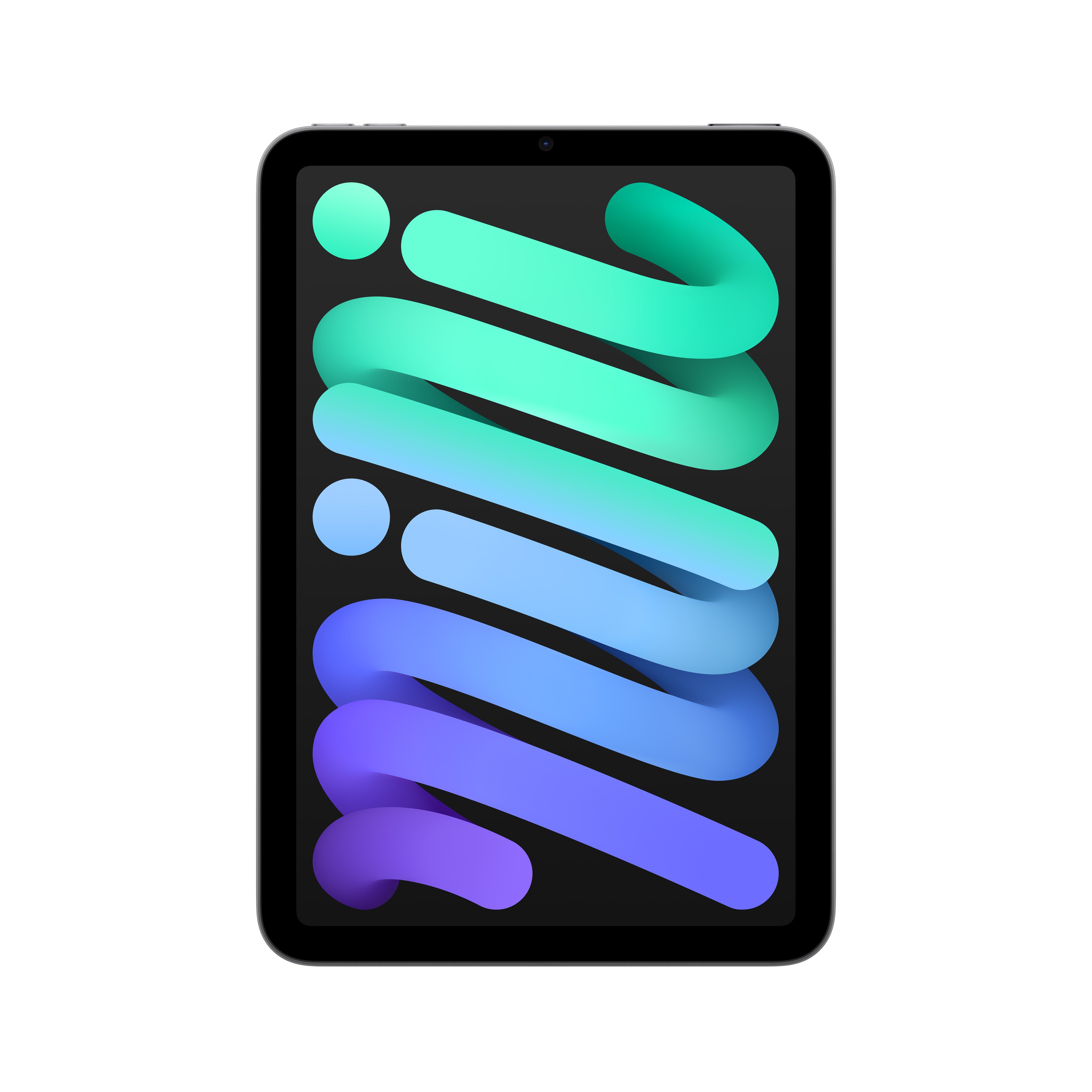 iPad_mini_Space_Gray_PDP_Image
